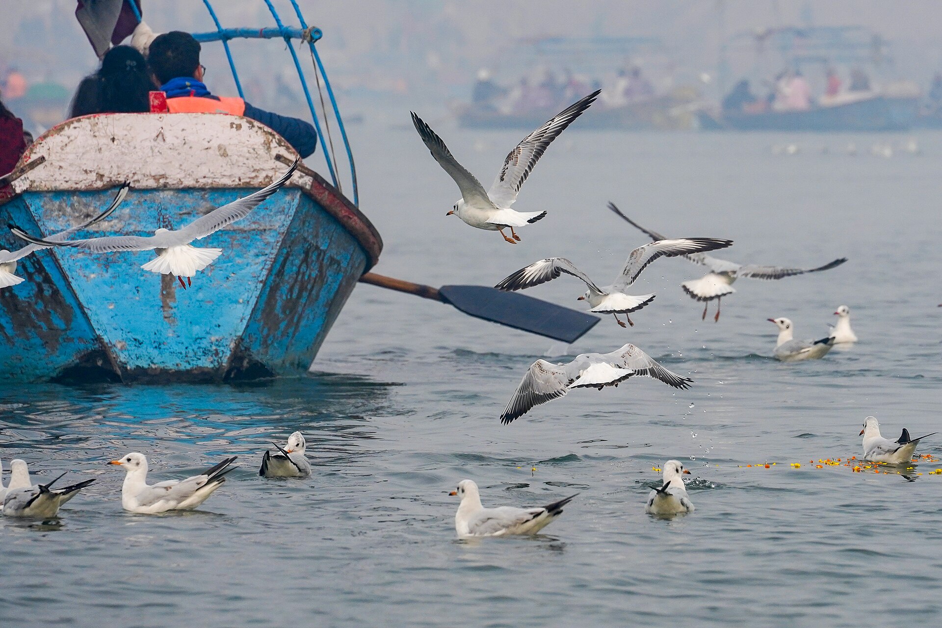 Sangam, Prayagraj